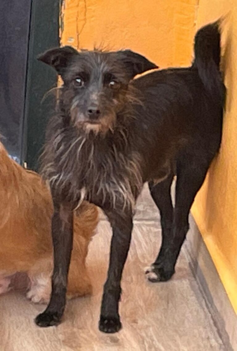 multimedia-foto91492-899-1