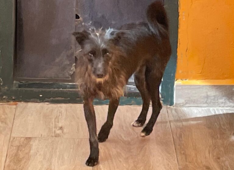 multimedia-foto91493-899-1