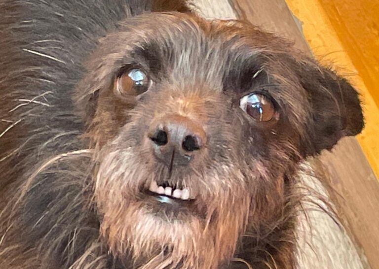 multimedia-foto91494-899-1