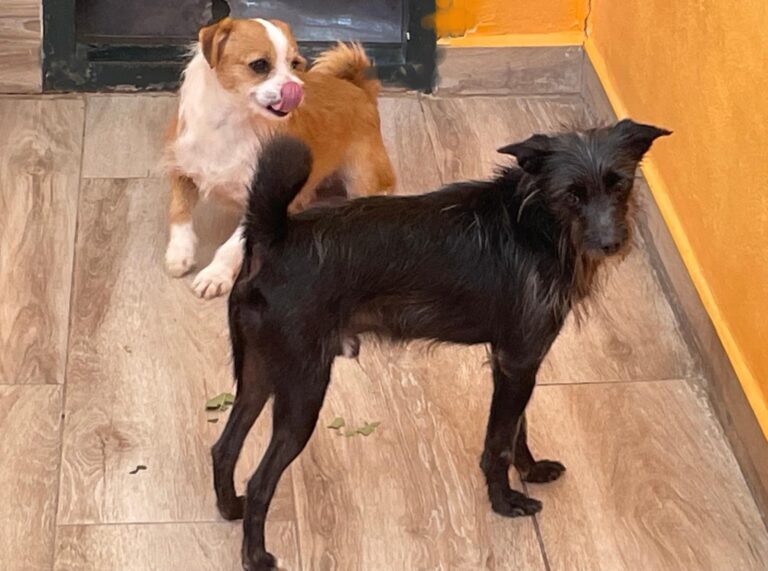 multimedia-foto91495-899-1