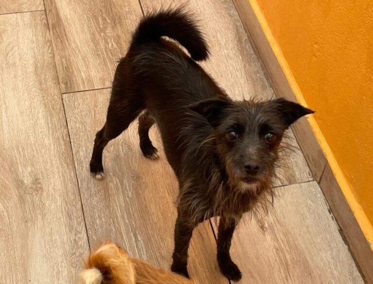 multimedia-foto91496-900-1