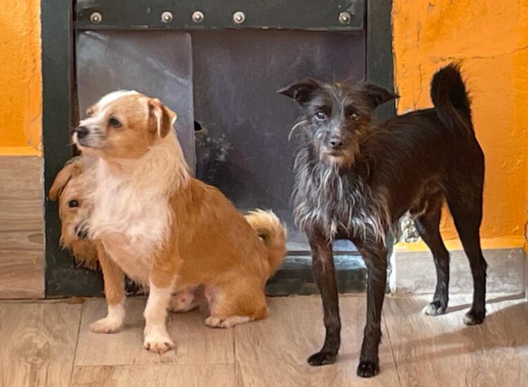 multimedia-foto91498-988-1