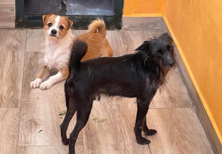 multimedia-foto91499-988-1