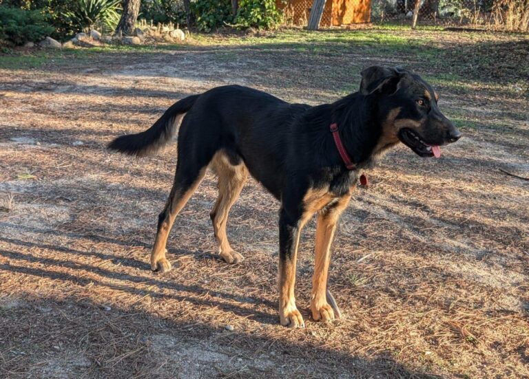 multimedia-foto91516-855-1