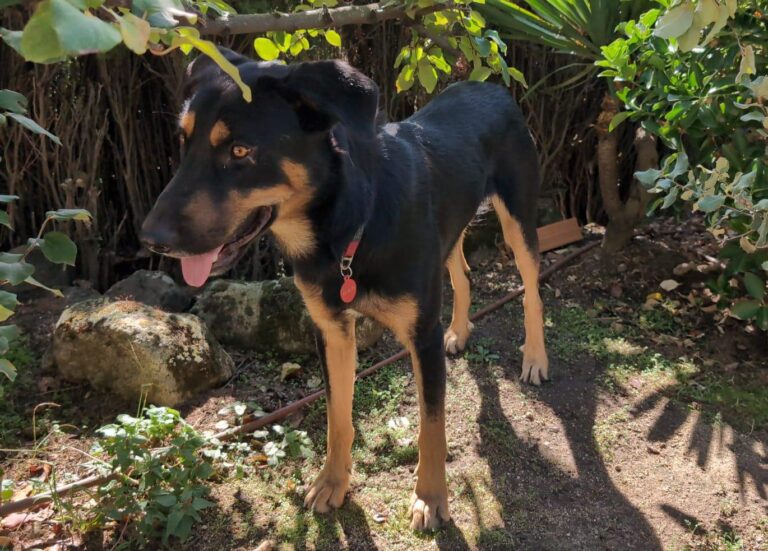 multimedia-foto91518-856-1