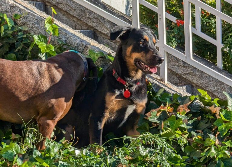 multimedia-foto91519-856-1