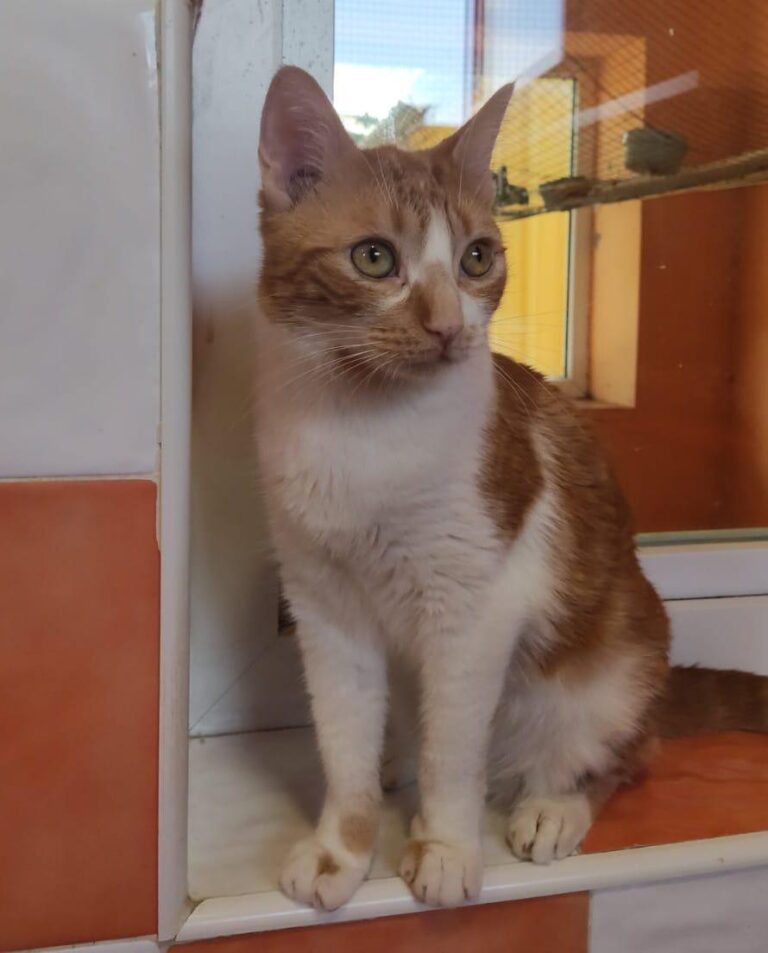 multimedia-foto91530-114-1