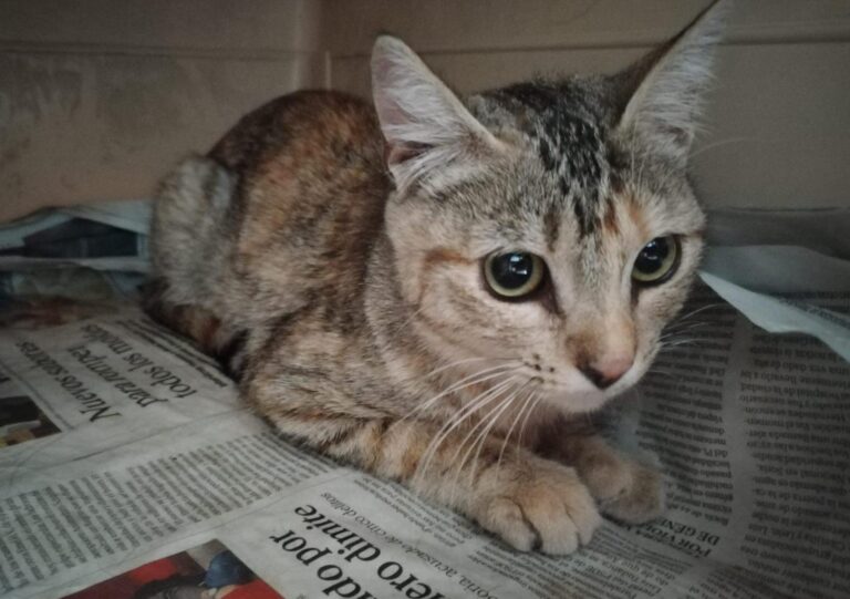 multimedia-foto91532-42-1