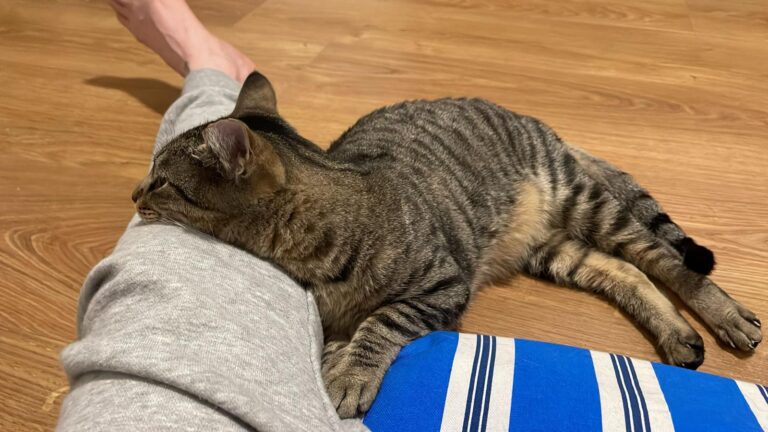 multimedia-foto91550-329-1