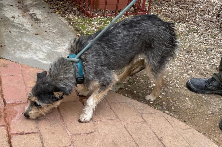 multimedia-foto91552-578-1