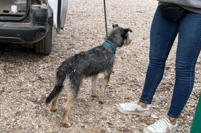 multimedia-foto91553-578-1