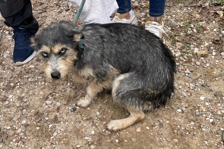 multimedia-foto91554-579-1