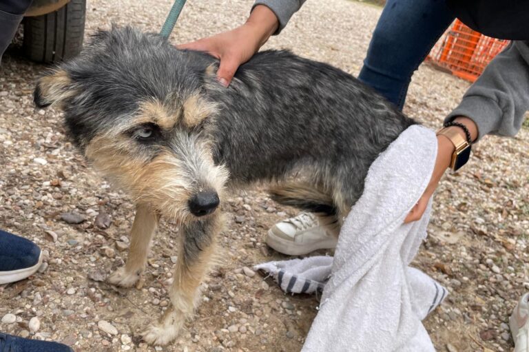 multimedia-foto91555-579-1