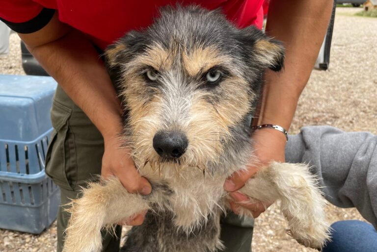 multimedia-foto91556-579-1