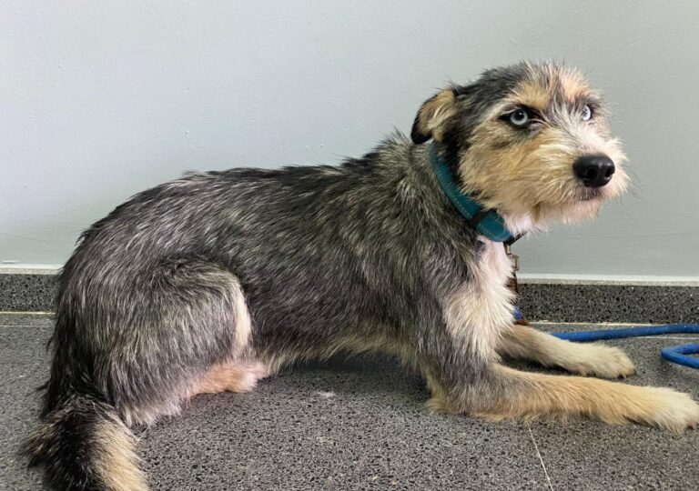 multimedia-foto91557-579-1