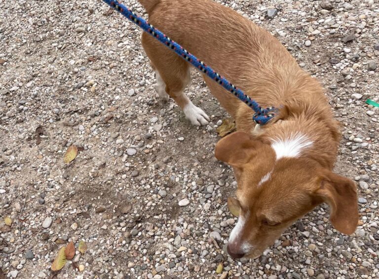 multimedia-foto91564-154-1