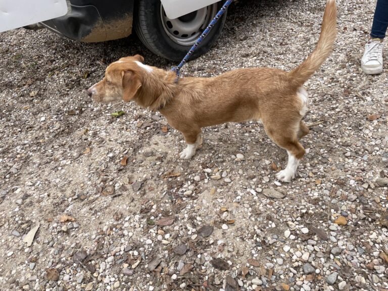 multimedia-foto91565-154-1