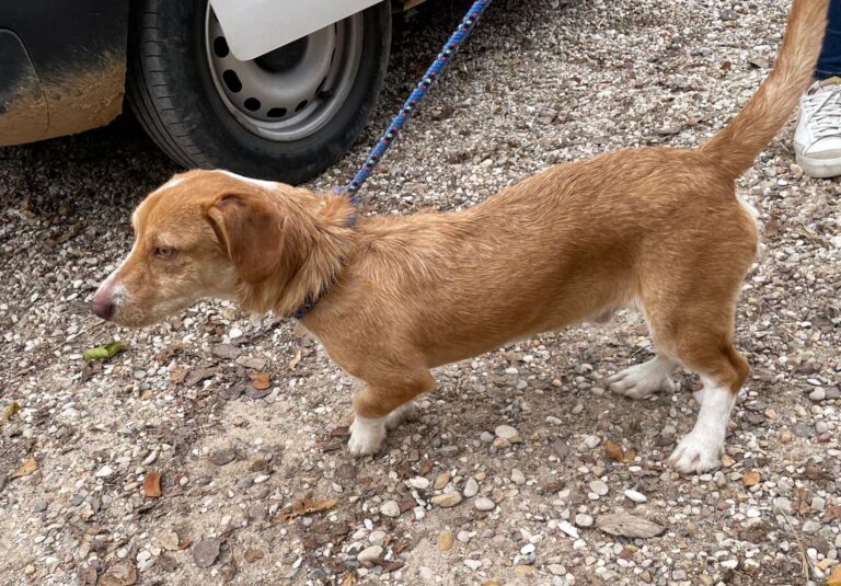 multimedia-foto91566-154-1