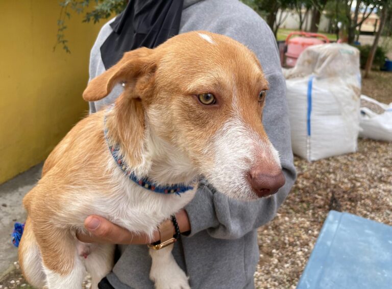 multimedia-foto91567-155-1