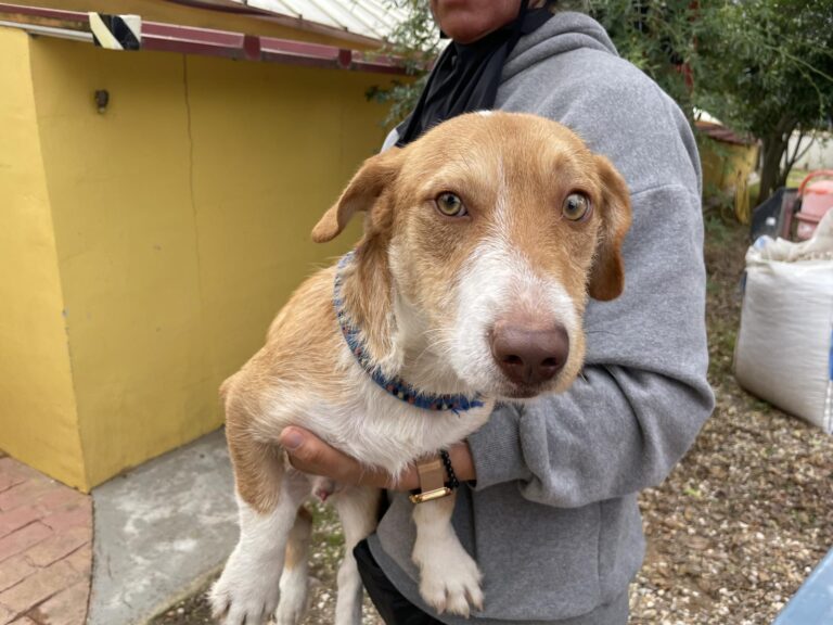 multimedia-foto91568-155-1