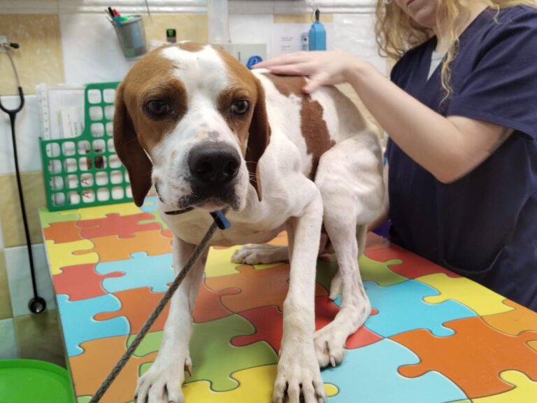 multimedia-foto91571-507-1