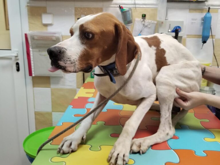 multimedia-foto91572-507-1