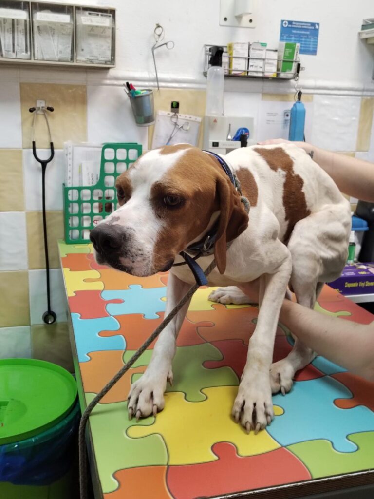 multimedia-foto91573-544-1