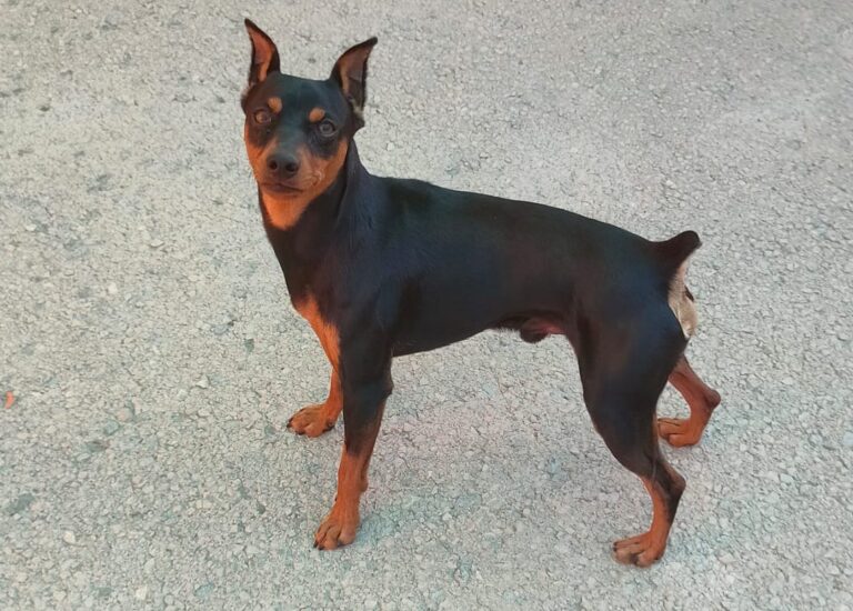 multimedia-foto91585-142-1