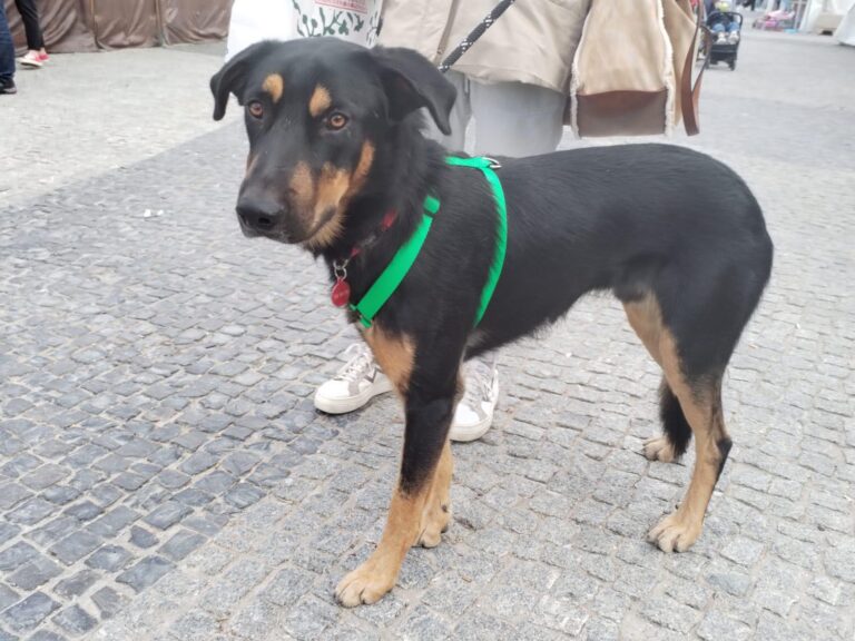 multimedia-foto91592-144-1