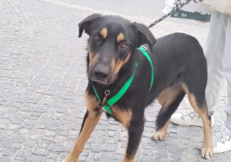 multimedia-foto91593-144-1