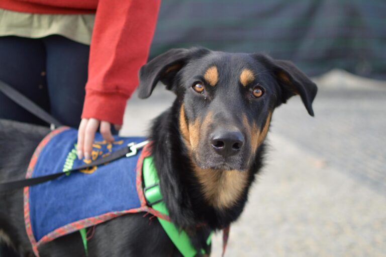 multimedia-foto91595-145-1