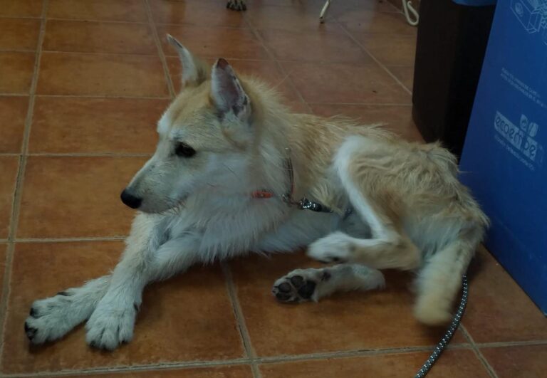 multimedia-foto91597-330-1