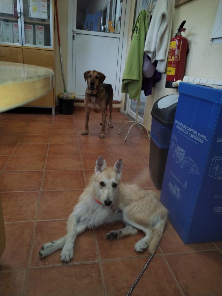 multimedia-foto91599-331-1