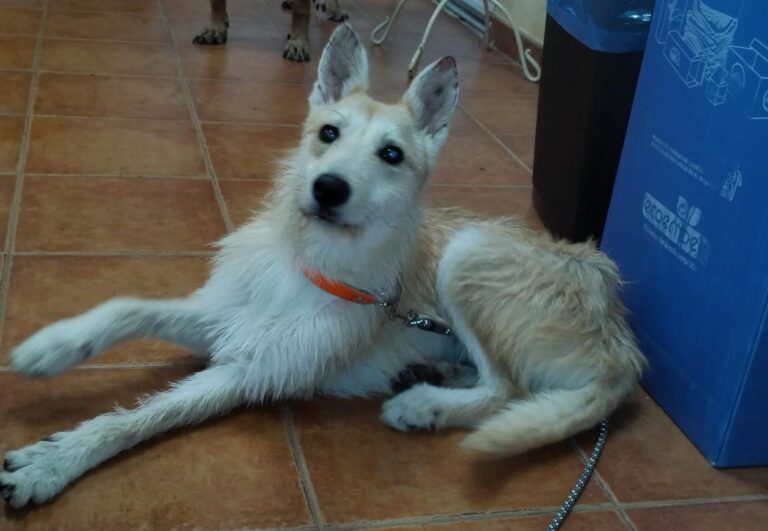 multimedia-foto91600-331-1