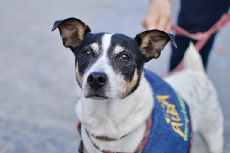 multimedia-foto91610-699-1