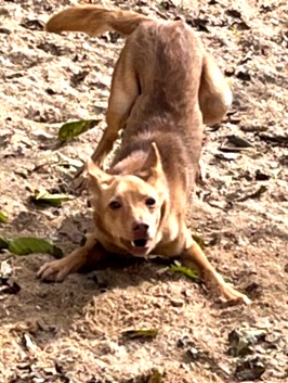 multimedia-foto91613-606-1