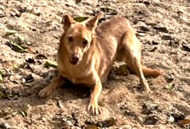 multimedia-foto91615-606-1