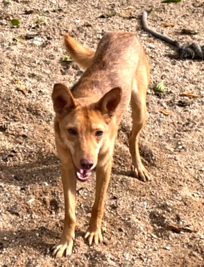 multimedia-foto91617-607-1