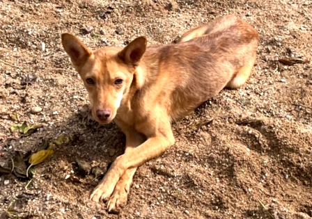 multimedia-foto91618-607-1