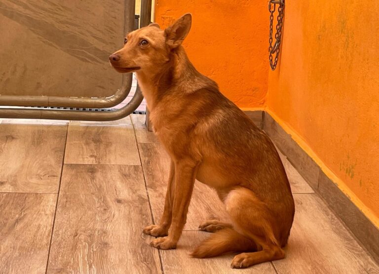 multimedia-foto91669-319-1