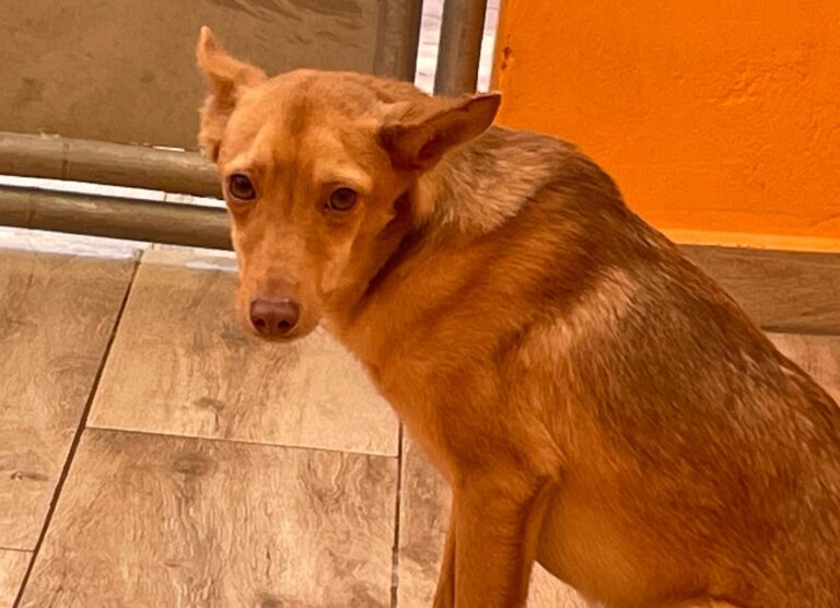 multimedia-foto91670-320-1