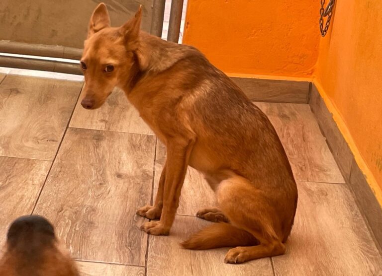 multimedia-foto91671-320-1