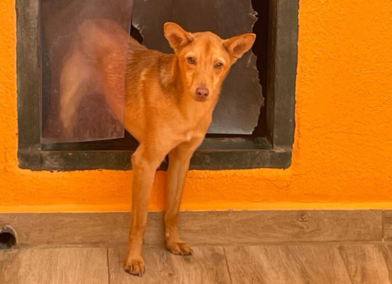 multimedia-foto91672-320-1