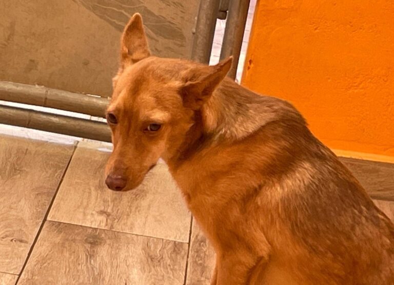 multimedia-foto91673-320-1