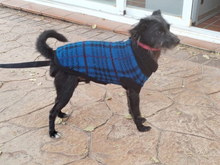 multimedia-foto91678-168-1