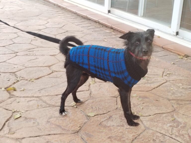 multimedia-foto91679-169-1