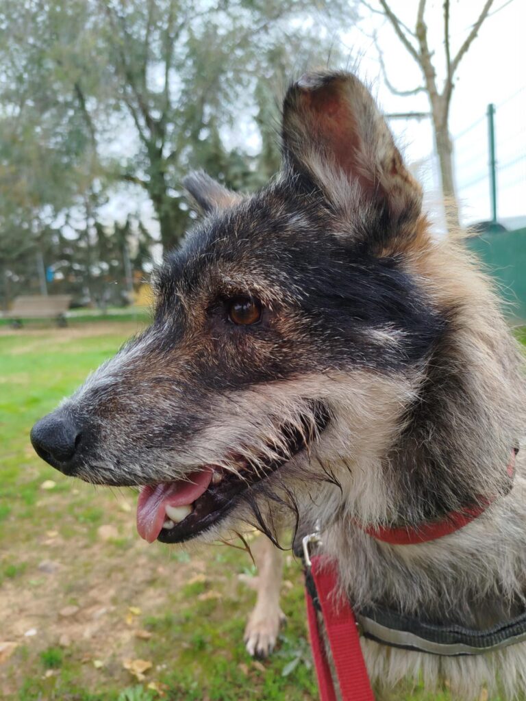 multimedia-foto91684-908-1