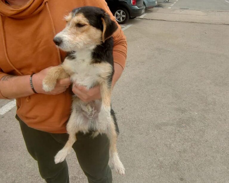 multimedia-foto91686-266-1