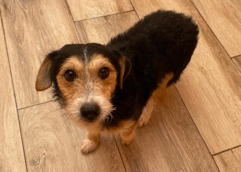 multimedia-foto91688-266-1