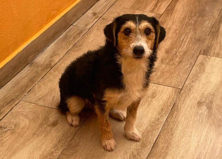 multimedia-foto91689-267-1